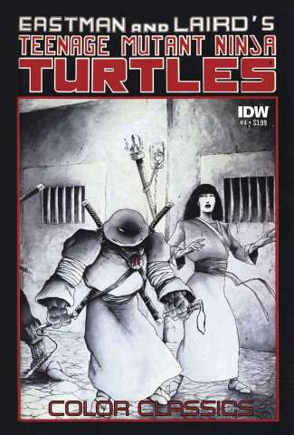 Teenage Mutant Ninja Turtles: Color Classics #4