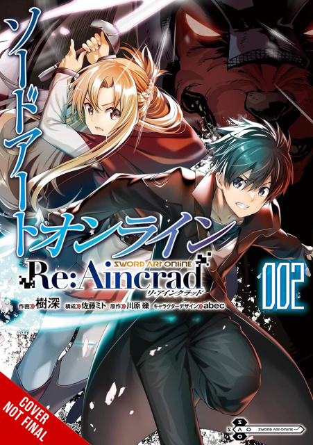 Sword Art Online: Re:Aincrad Vol. 2