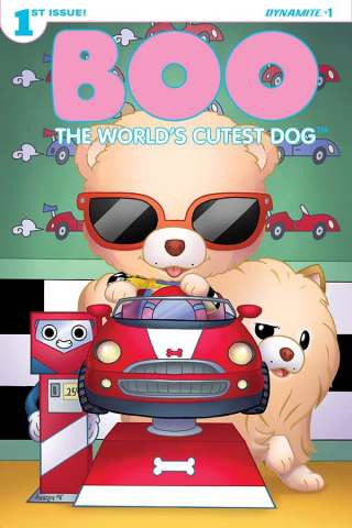 Boo: The World's Cutest Dog #1 (Garbowska Cover)