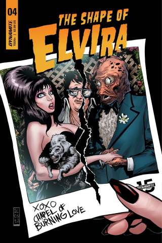 The Shape of Elvira #4 (Acosta Cover)