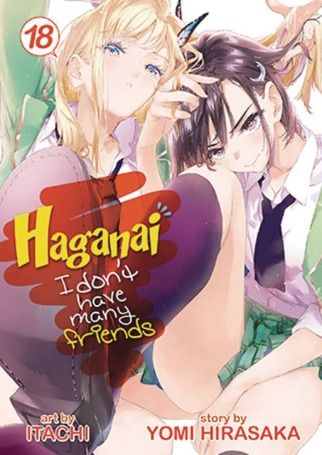 Haganai: I Don't Have Many Friends Vol. 19