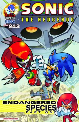 Sonic the Hedgehog #243