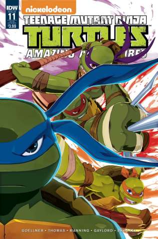 Teenage Mutant Ninja Turtles: Amazing Adventures #11 (Subscription Cover)
