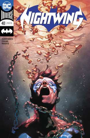 Nightwing #40 (Variant Cover)