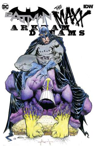 Batman / The Maxx: Arkham Dreams #1 (Arkham Dreams Kieth Cover)