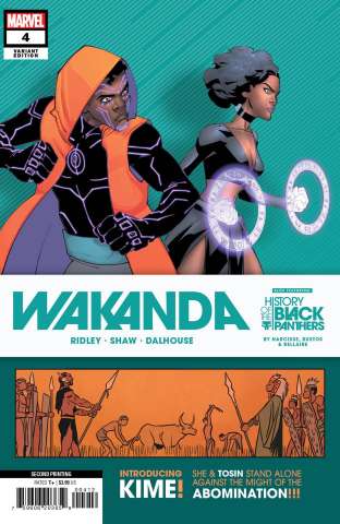 Wakanda #4 (Shaw Bustos 2nd Printing)