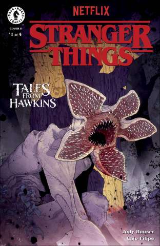 Stranger Things: Tales From Hawkins #1 (Luckert Cover)