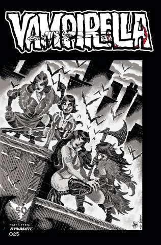 Vampirella #25 (11 Copy TMNT Homage Haeser Cover)