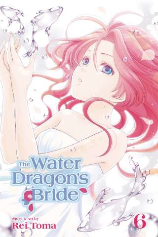 The Water Dragon's Bride Vol. 6