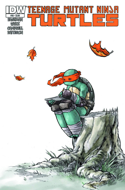 Teenage Mutant Ninja Turtles #30