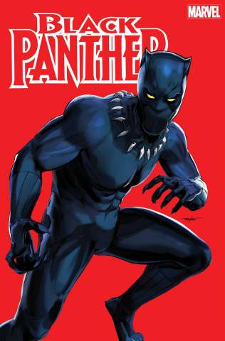 Black Panther #2 (Mike Mayhew Cover)