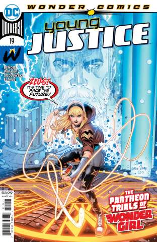Young Justice #19 (John Timms Cover)
