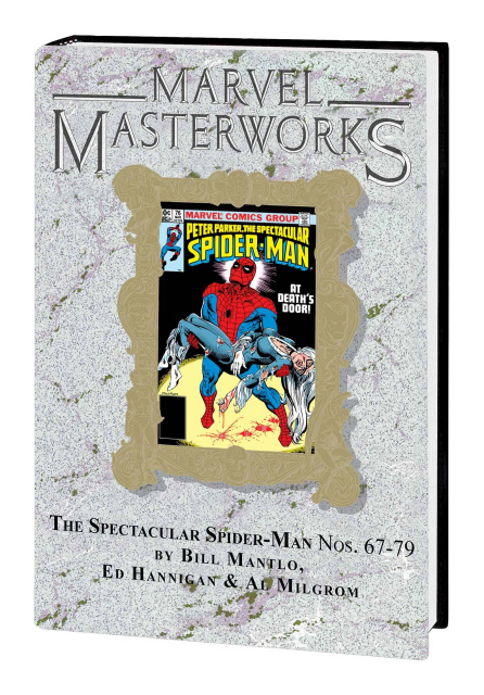 The Spectacular Spider-Man Vol. 6 (Marvel Masterworks)