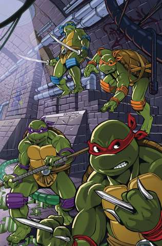 Teenage Mutant Ninja Turtles: Saturday Morning Adventures #8 (25 Copy Escorzas Cover)