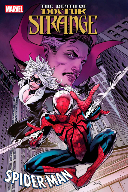 The Death of Doctor Strange: Spider-Man #1
