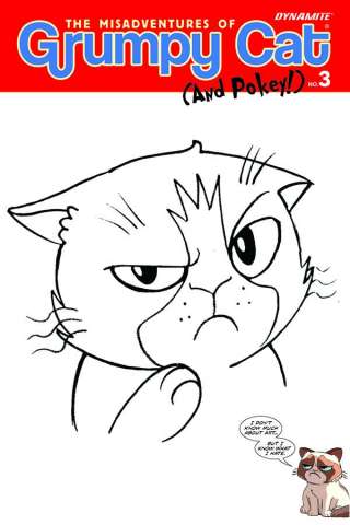 Grumpy Cat (and Pokey!) #3 (Haeser Hand Draw Original Art Cover)