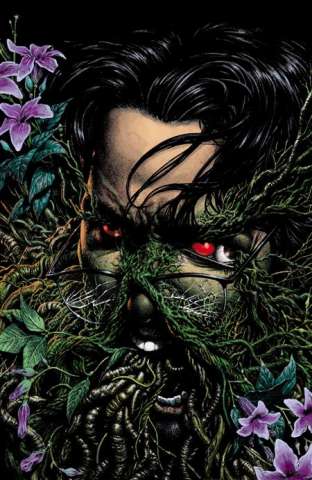 The Swamp Thing #14 (Steve Beach Card Stock Cover)