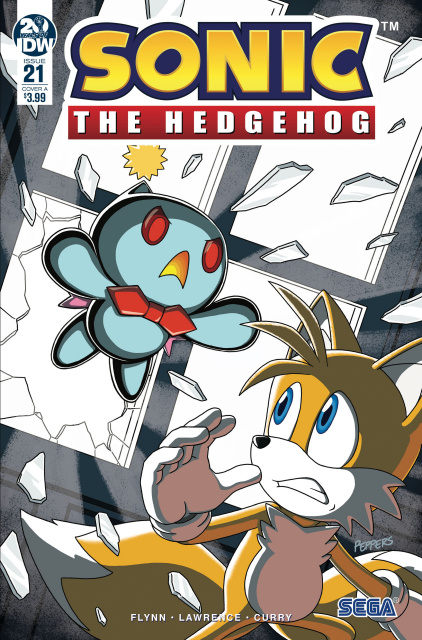 Sonic the Hedgehog #21 (Hammerstrom Cover)