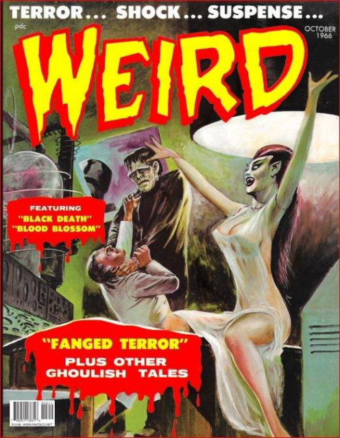 Weird Magazine Vol. 1 (Collected Edition)