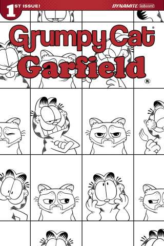 Grumpy Cat / Garfield #1 (10 Copy Hirsch Cover)