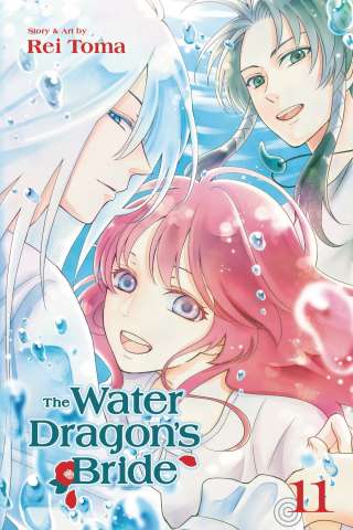The Water Dragon's Bride Vol. 11