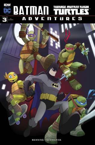 Batman / Teenage Mutant Ninja Turtles Adventures #3 (10 Copy Cover)