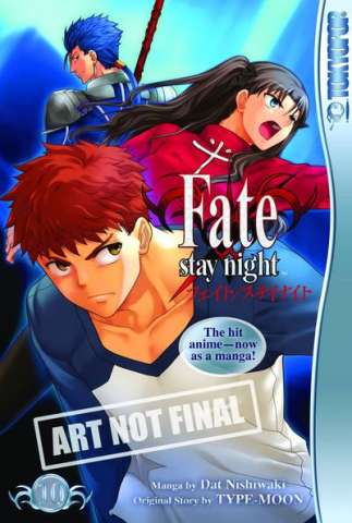 Fate: Stay Night Vol. 10