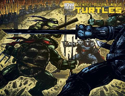 Teenage Mutant Ninja Turtles #50 (Cover B)