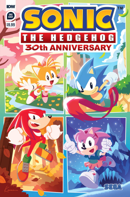 Sonic the Hedgehog 30th Anniversary Special (Sonic Team Cover)