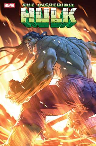 The Incredible Hulk #19 (Pete Woods Cover)