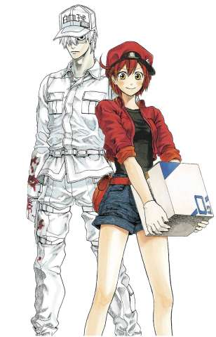 Cells At Work! (Complete Box Set)