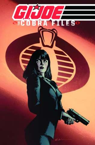 G.I. Joe: The Cobra Files Vol. 1