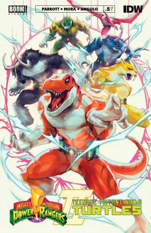 Mighty Morphin Power Rangers / Teenage Mutant Ninja Turtles II #5 (Tao Cover)