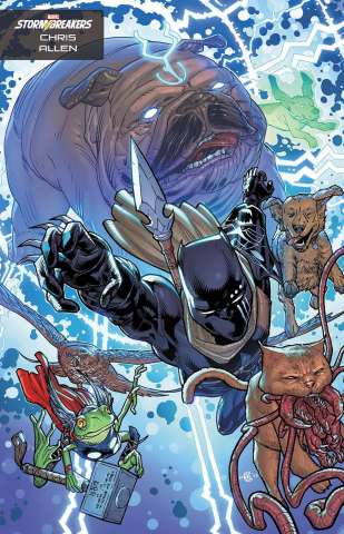 Black Panther #3 (Chris Allen Stormbeakers Cover)