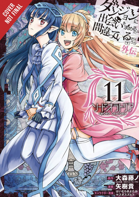 Is It Wrong to Try to Pick Up Girls in a Dungeon? On the Side: Sword Oratoria Vol. 11