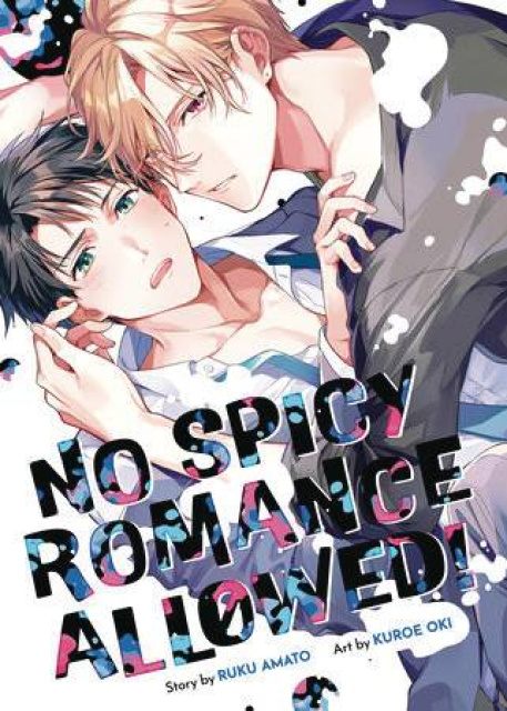 No Spicy Romance Allowed