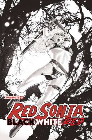 Red Sonja: Black, White, Red #4 (15 Copy Staggs B&W Line Art Cover)