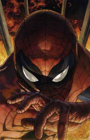 The Amazing Spider-Man #1.5