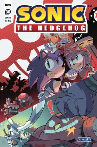 Sonic the Hedgehog #38 (Rothlisberger Cover)