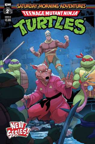 Teenage Mutant Ninja Turtles: Saturday Morning Adventures, Continued #2 (Schoening Cover)