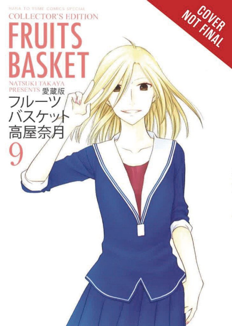 Fruits Basket Vol. 9 (Collector's Edition)