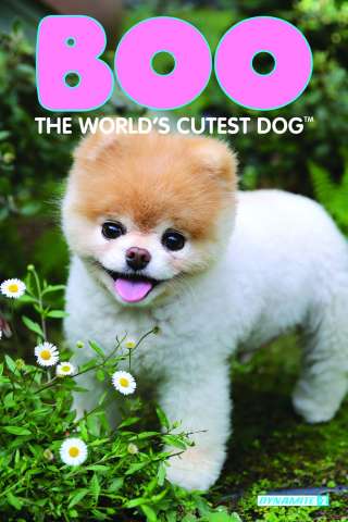 Boo: The World's Cutest Dog #2 (Photo Subscription Cover)