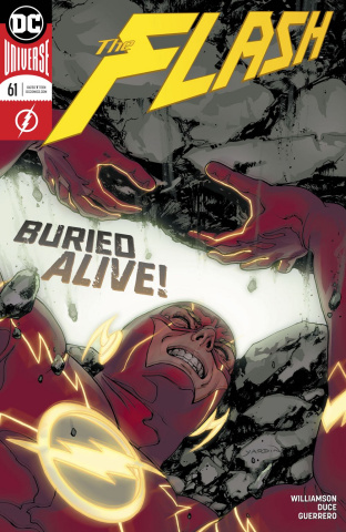 FLASH #61 1//02//19