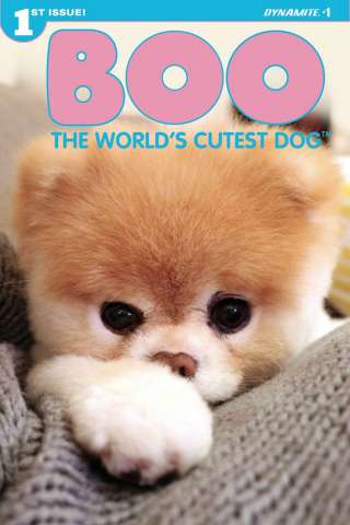 Boo: The World's Cutest Dog #1 (Photo Cover)
