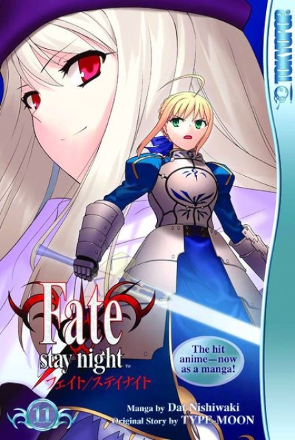 Fate: Stay Night Vol. 11