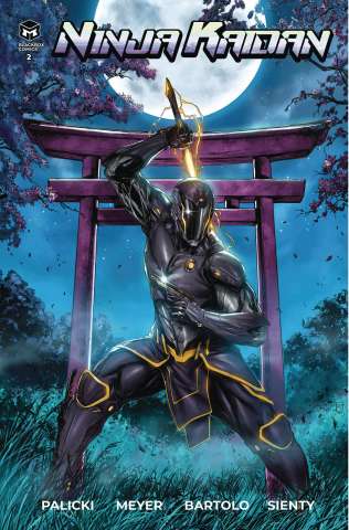 Ninja Kaidan #2 (Meyer Cover)