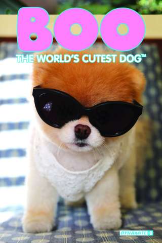 Boo: The World's Cutest Dog #3 (Photo Subscription Cover)