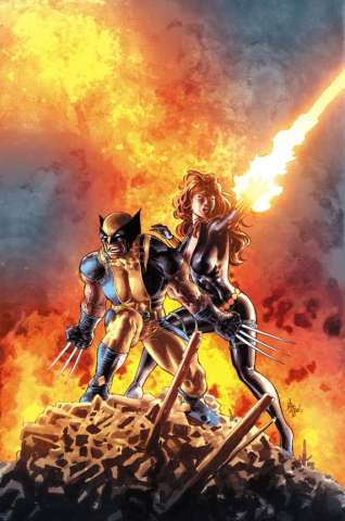 Iron Man #11 (Wolverine Costume Deodato Cover)