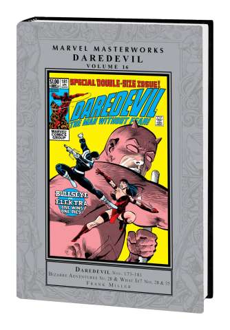 Daredevil Vol. 16 (Marvel Masterworks)