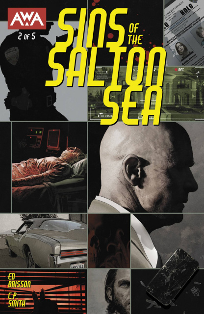 Sins of the Salton Sea #2 (Bradstreet Cover)